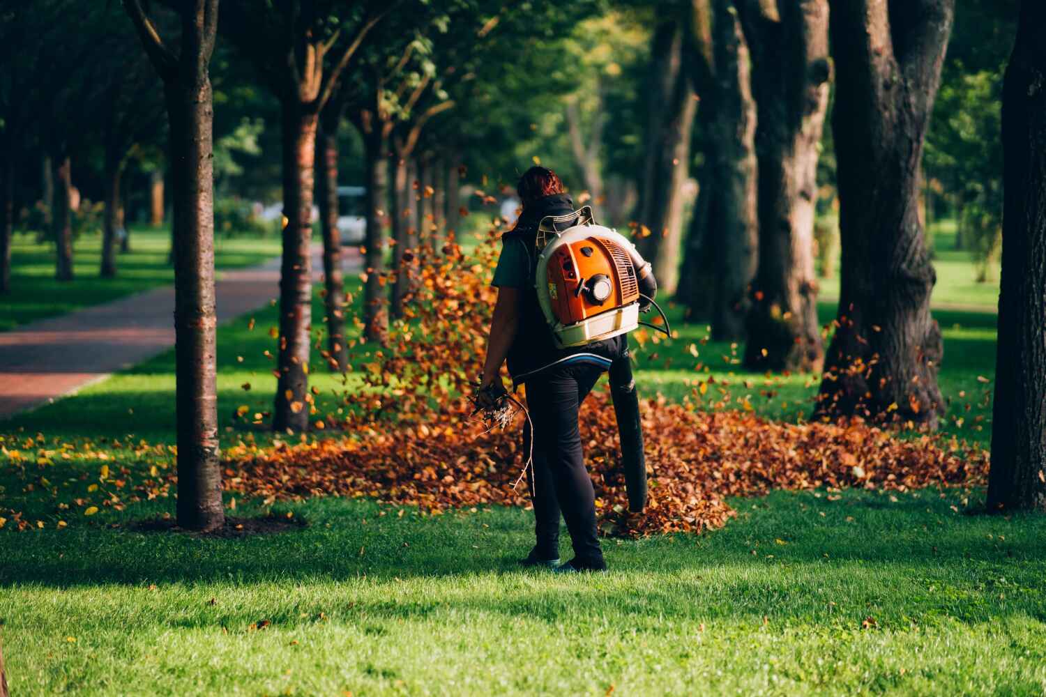 The Steps Involved in Our Tree Care Process in Dasher, GA